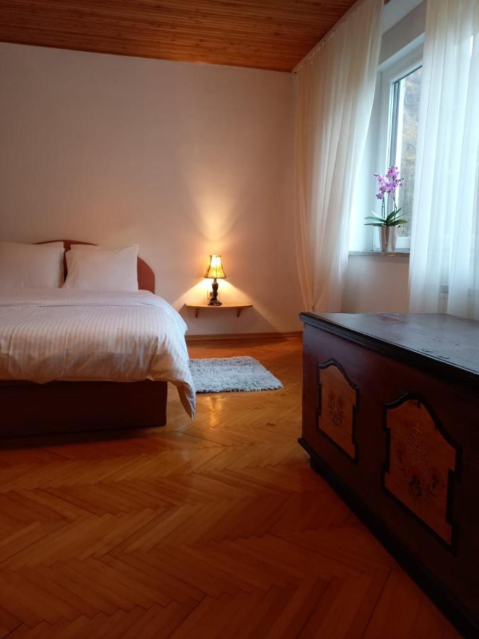 Riverside Villa Avo - Apartment Martin Spodnja Idrija 外观 照片