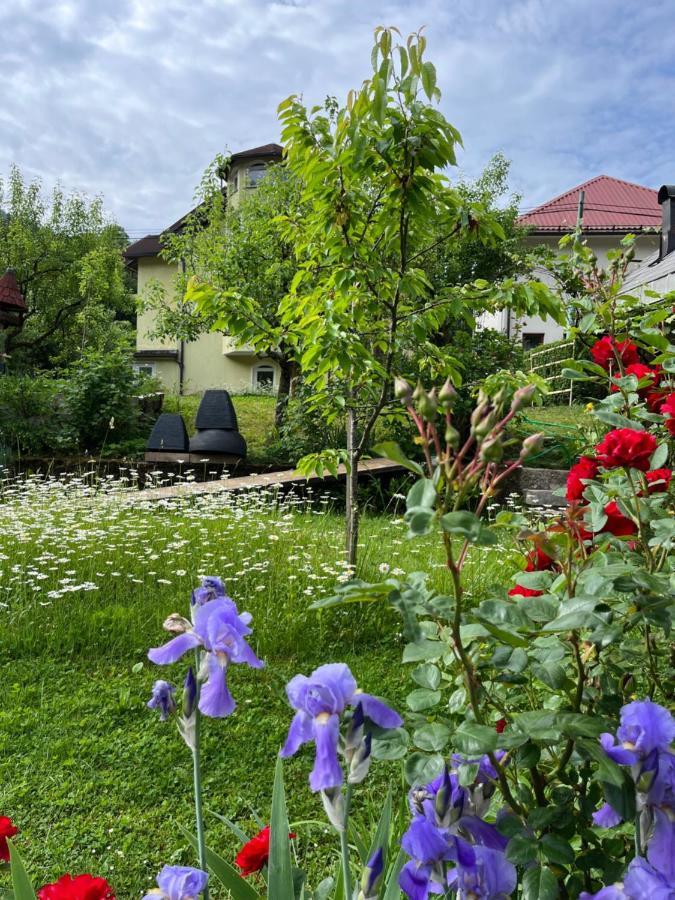 Riverside Villa Avo - Apartment Martin Spodnja Idrija 外观 照片