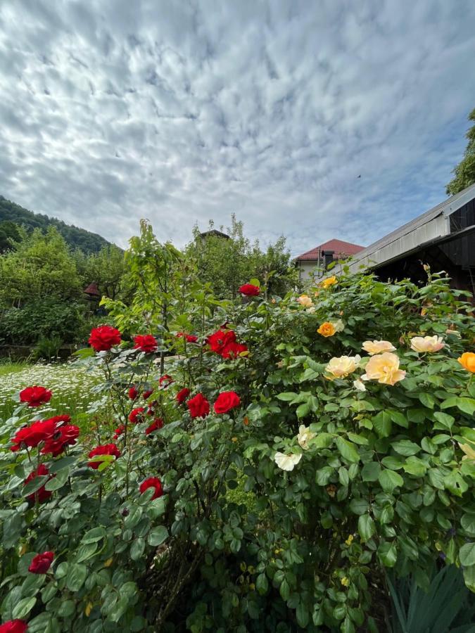 Riverside Villa Avo - Apartment Martin Spodnja Idrija 外观 照片