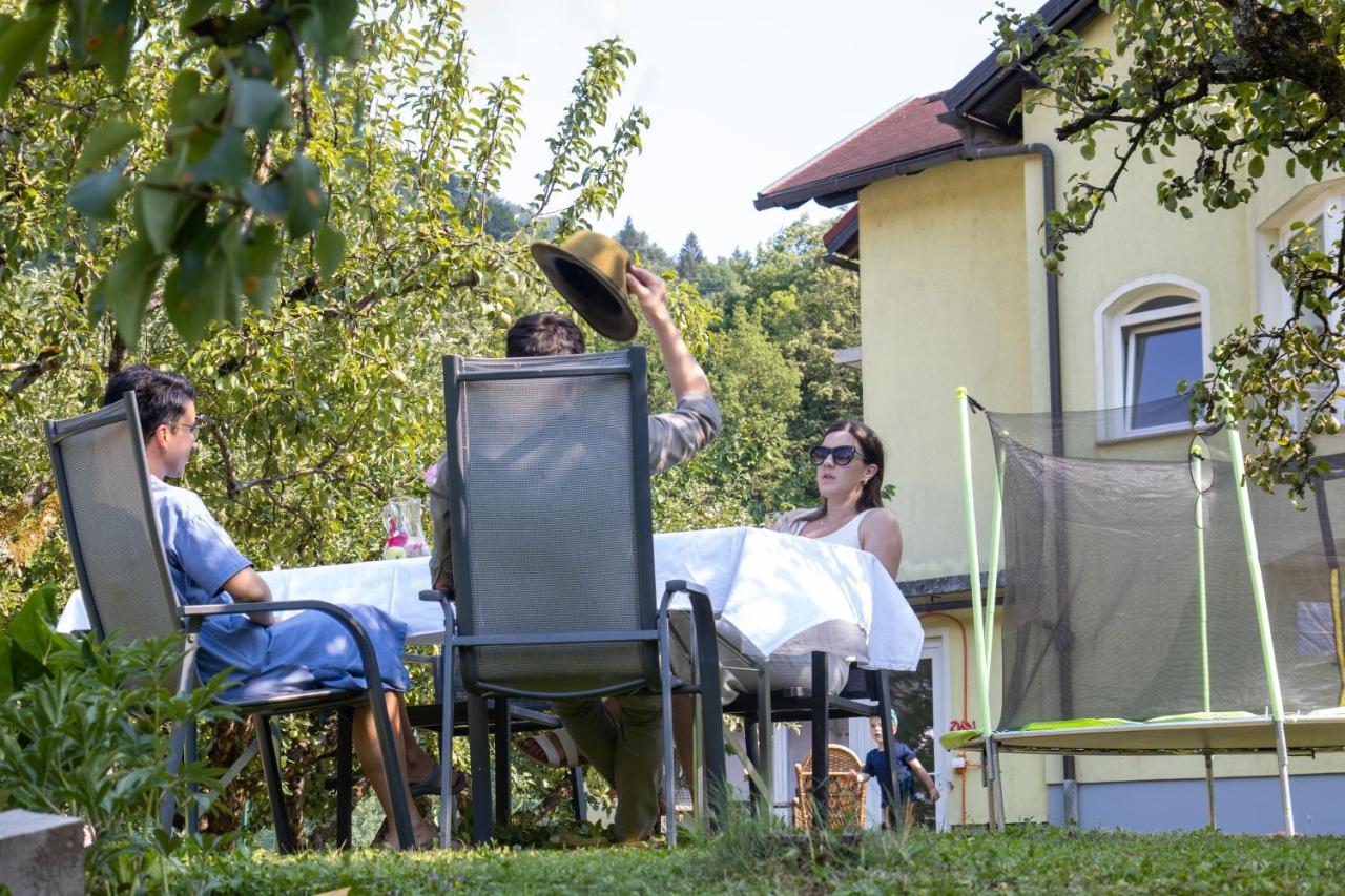 Riverside Villa Avo - Apartment Martin Spodnja Idrija 外观 照片