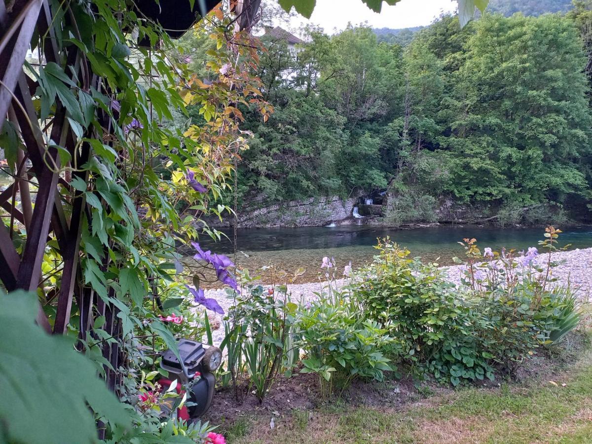Riverside Villa Avo - Apartment Martin Spodnja Idrija 外观 照片